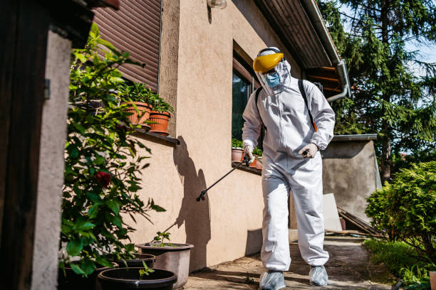 Best Mosquito Control Services  in Hartley, IA