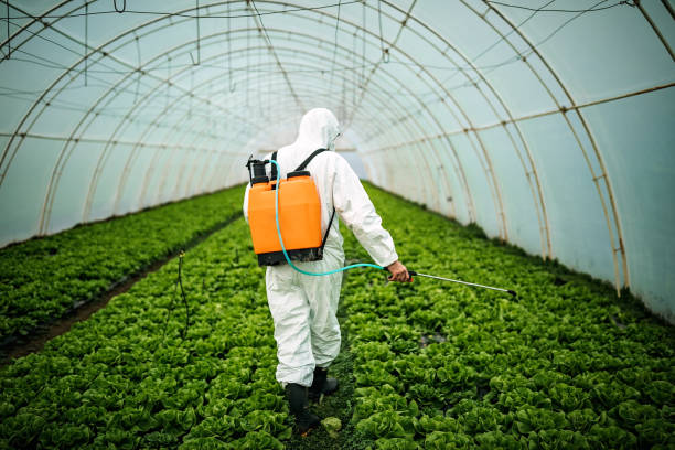 Best Local Pest Control Services  in Hartley, IA