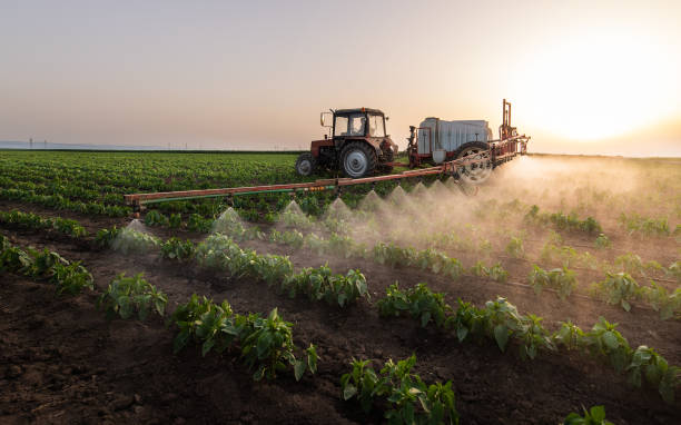 Best Pest Control Near Me  in Hartley, IA