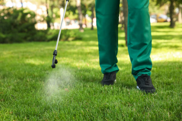 Flea Control Services in Hartley, IA