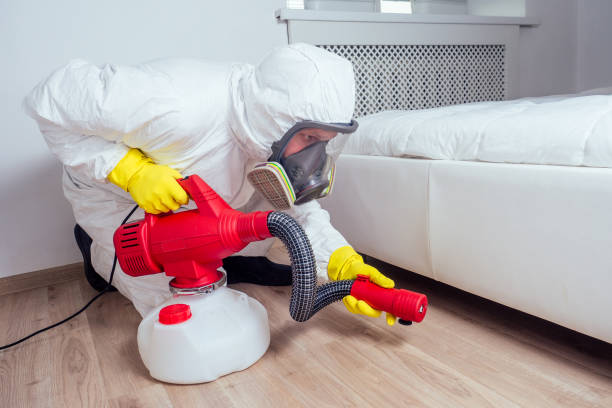 Best Bed Bug Extermination  in Hartley, IA