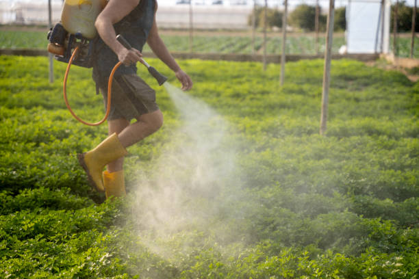 Best Emergency Pest Control  in Hartley, IA