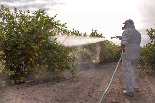 Best Flea Control Services  in Hartley, IA