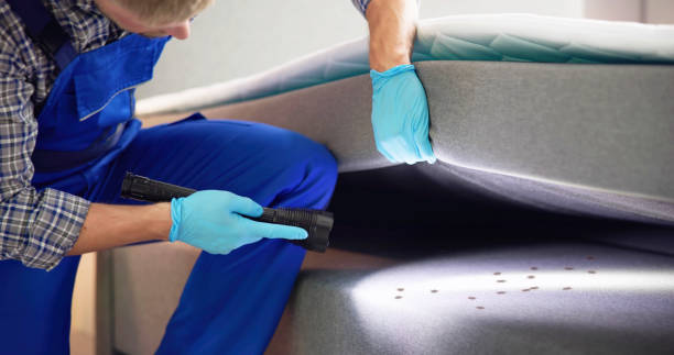 Best Wasp Removal Services  in Hartley, IA