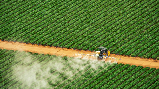 Best Best Pest Control Companies  in Hartley, IA