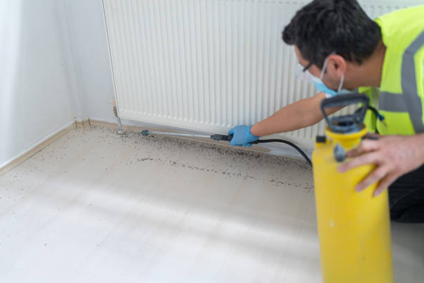 Best Cockroach Control Services  in Hartley, IA