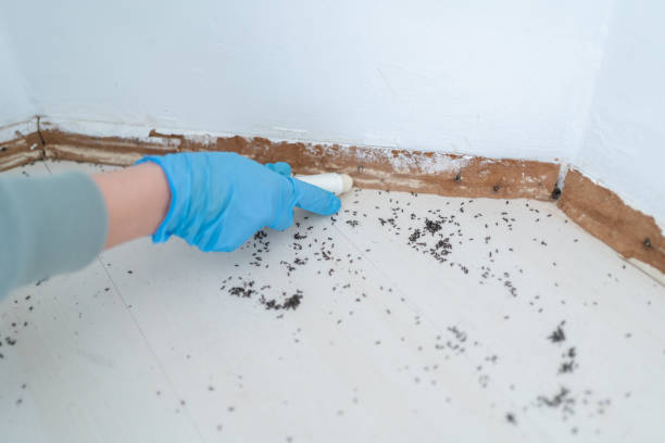 Pest Control Cost in Hartley, IA