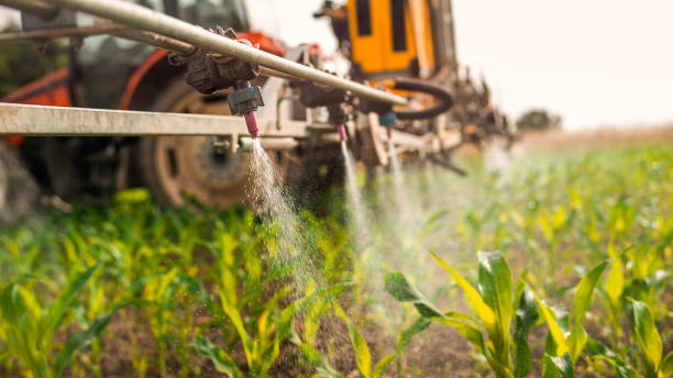 Best Pest Control Treatment  in Hartley, IA
